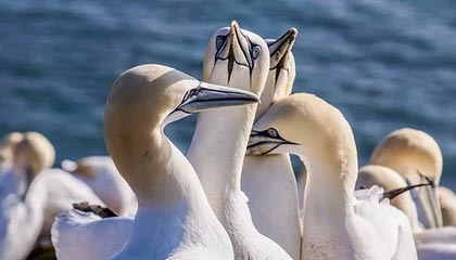 信用卡逾期不还多久会被起诉?